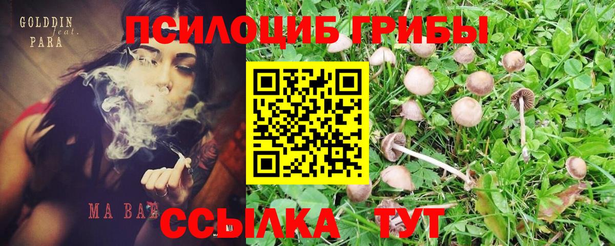 Гашиш  Вход с VPN  Биробиджан  НБОМе  Гашиш  Экстази  Магазин наркотиков  Cocaine  Меф МЯУ МЯУ кристаллы  МАРИХУАНА 