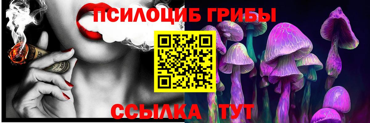 Галлюциногенные грибы GOLDEN TEACHER Биробиджан